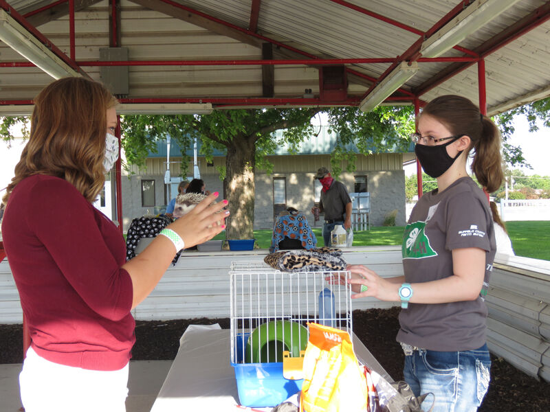 Hedgehog, judge Mikalah Brown, Kearney, owner Jaylin Gargan, Kearney